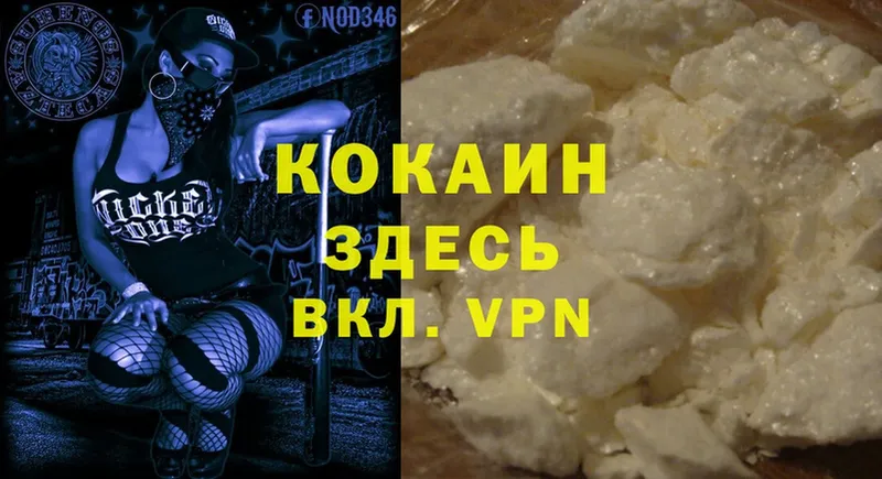 КОКАИН Fish Scale  продажа наркотиков  Каменка 